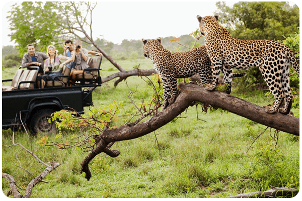 Travel Agency in Rajasthan